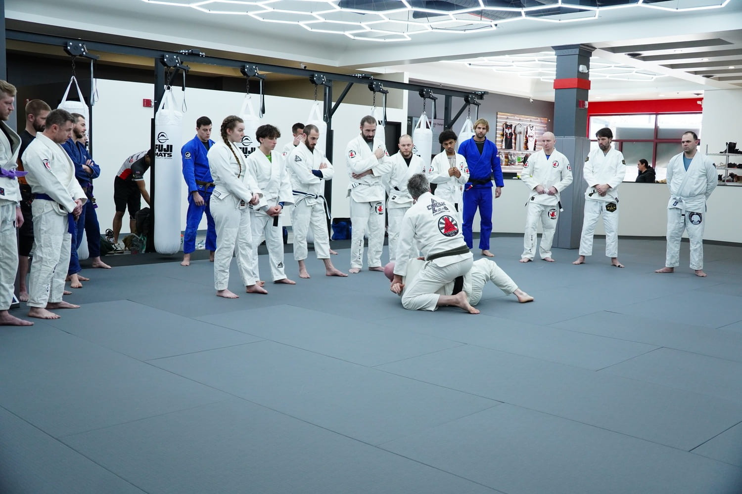 Adult Brazilian Jiu-Jitsu self-defense training class in Novi Michigan