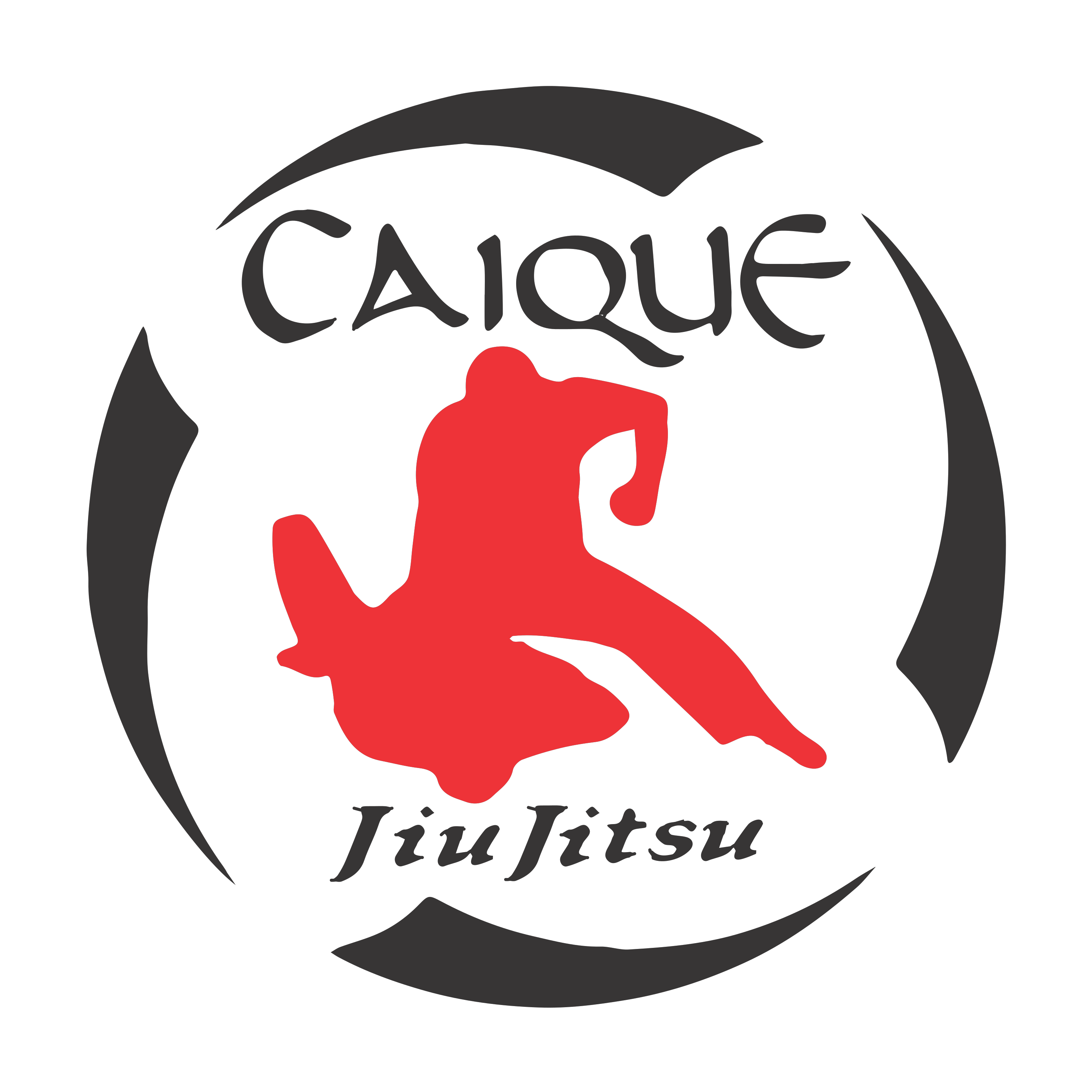 Caique Brazilian Jiu-Jitsu lineage at Novi BJJ
