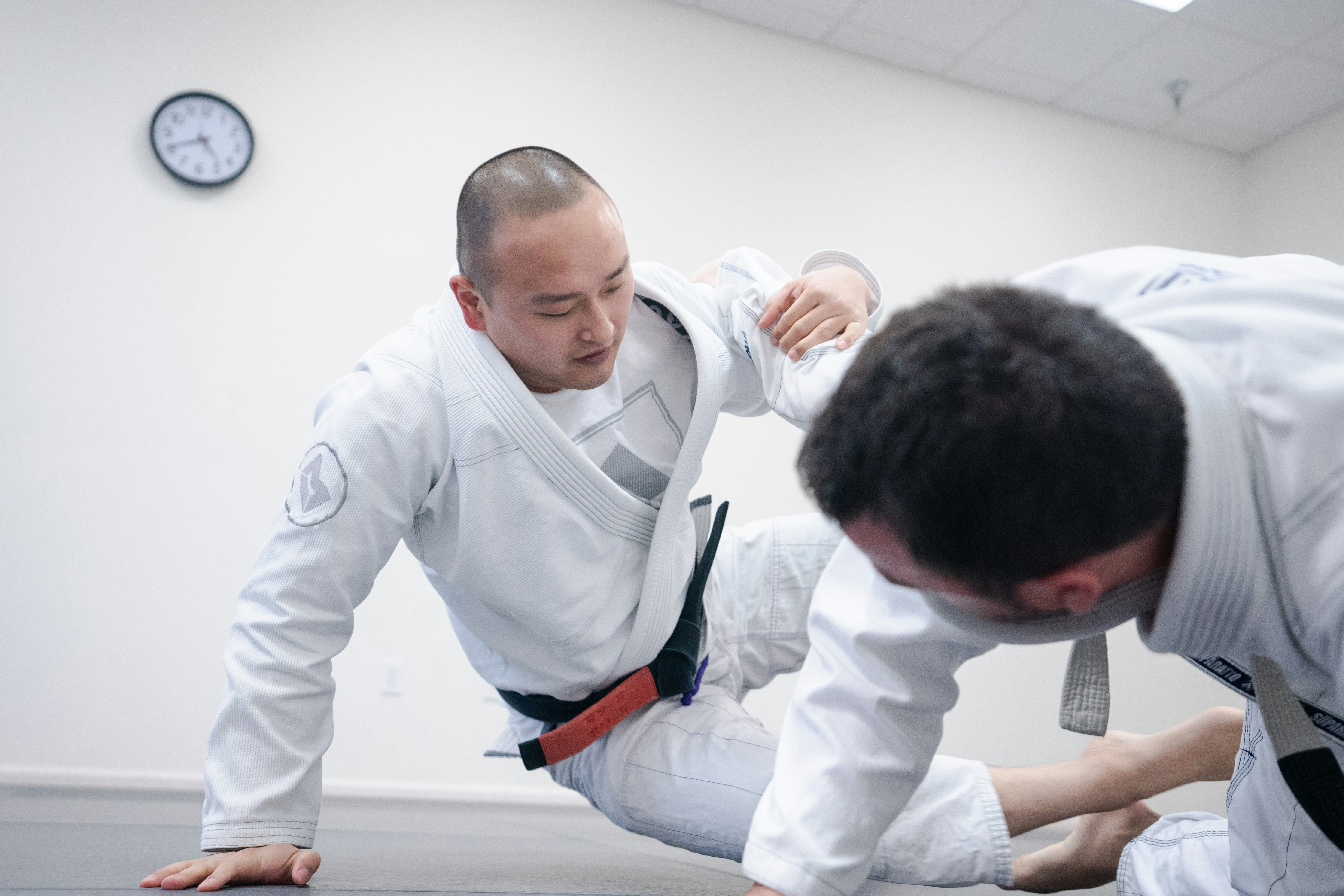 Adult beginner Brazilian Jiu-Jitsu training in Novi Michigan
